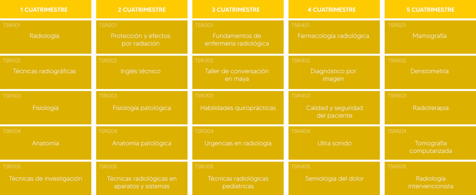 Mapa curricular radiología