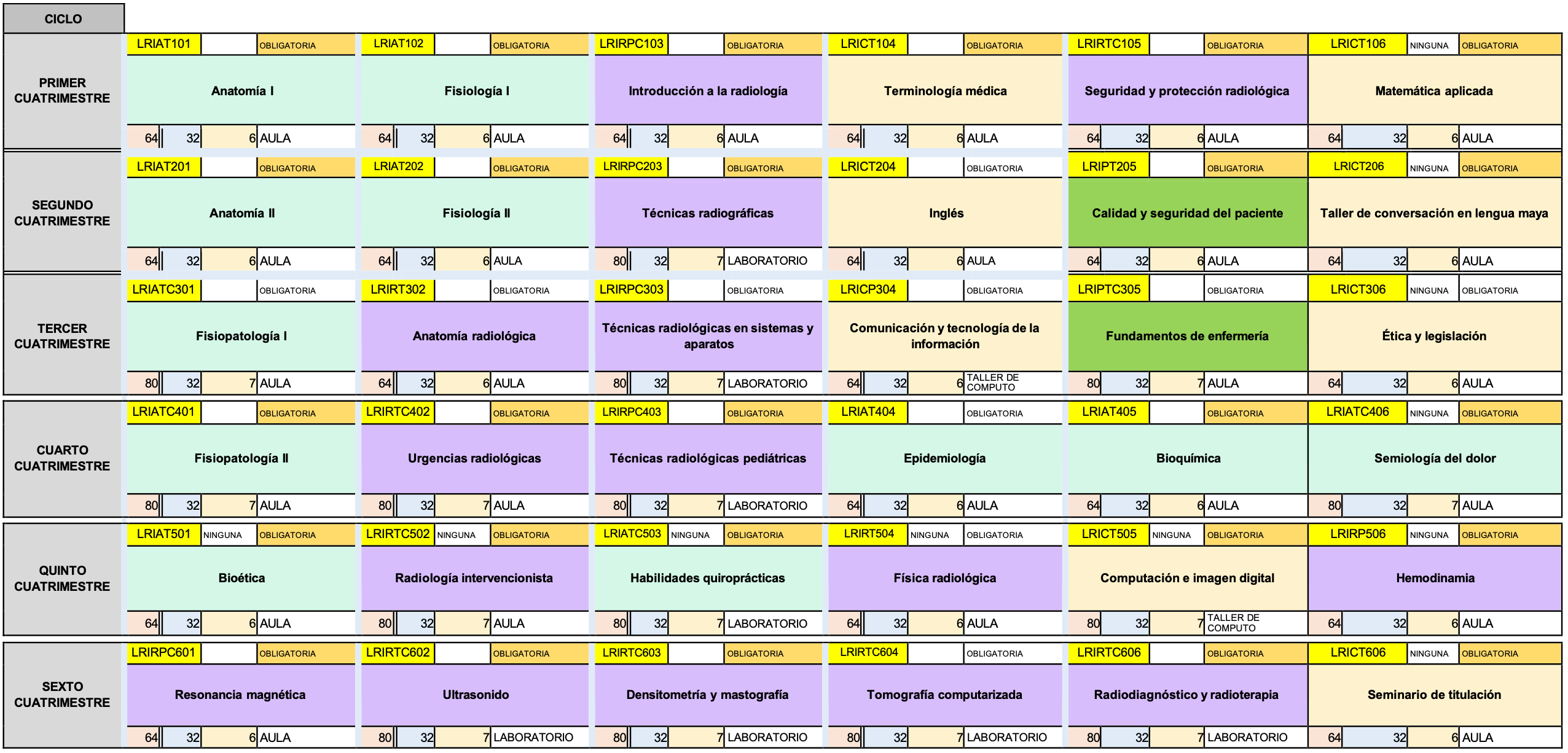 Mapa curricular radiología